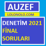 Denetim 2021 Final