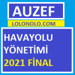 Havayolu Yönetimi 2021 Final