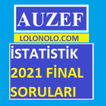İstatistik 2021 Final soruları