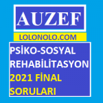 Psiko-Sosyal Rehabilitasyon 2021 Final Soruları