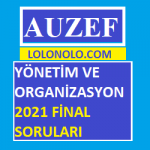 Yönetim ve Organizasyon 2021 Final Soruları