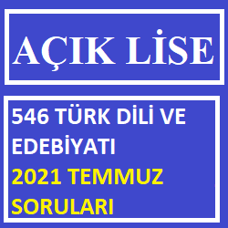 546 Türk Dili ve Edebiyatı