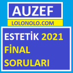 Estetik 2021 Final Soruları