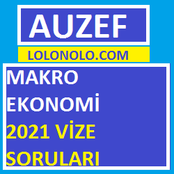 Makro Ekonomi 2021 Vize Soruları
