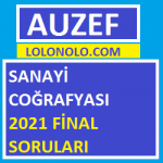 Sanayi Coğrafyası 2021 Final