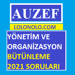 Yönetim ve Organizasyon 2021 Bütünleme Soruları