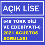 546 Türk Dili ve Edebiyatı 6 