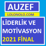 Liderlik ve Motivasyon 2021 Final