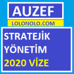 Stratejik Yönetim 2020 Vize