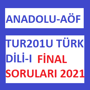 TUR201U - Türk Dili 1 Final Soruları 2021