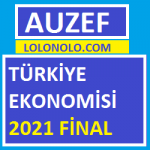 Türkiye Ekonomisi 2021 Final