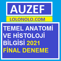 Temel Anatomi ve Histoloji Bilgisi Final 2021 Deneme Sınavı