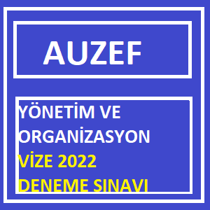 Yönetim ve Organizasyon Vize 2022 Deneme Sınavı