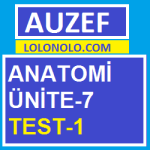 Anatomi Ünite-7 Test-1