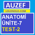 Anatomi Ünite-7 Test-2