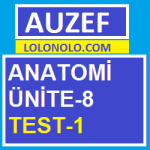 Anatomi Ünite-8 Test-1