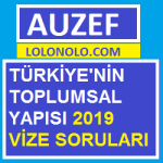 Türkiye’nin Toplumsal Yapısı 2019 Vize