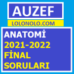 Anatomi 2021-2022 Final Soruları