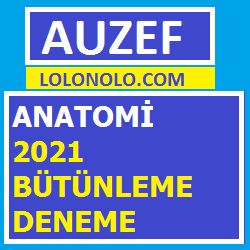 Anatomi 2021 Bütünleme Deneme