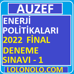 Enerji Politikaları Final 2022 Deneme Sınavı -1