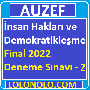 İnsan Hakları ve Demokratikleşme Final 2022 Deneme Sınavı -2
