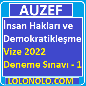 İnsan Hakları ve Demokratikleşme Vize 2022 Deneme Sınavı -1