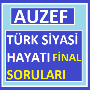 Türk Siyasi Hayatı Final Soruları