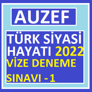 Türk Siyasi Hayatı Vize 2022 Deneme Sınavı -1