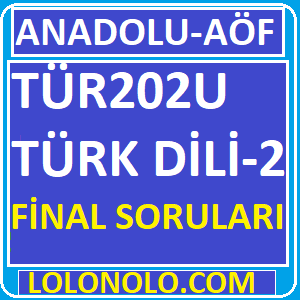 TÜR202U Türk Dili 2 Final Soruları