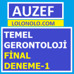 Temel Gerontoloji Final Deneme-1