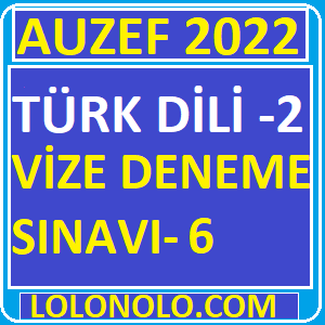 Auzef Türk Dili 2 Vize Deneme Sınavı 6