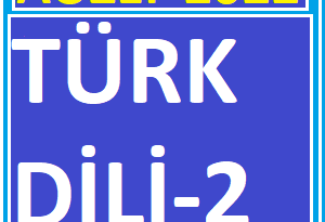 Auzef Türk Dili 2