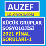 Küçük Gruplar Sosyolojisi 2021 Final Soruları-1