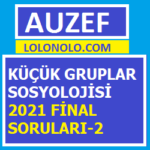 Küçük Gruplar Sosyolojisi 2021 Final Soruları-2