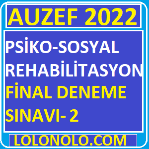 Psiko-Sosyal Rehabilitasyon Final Den