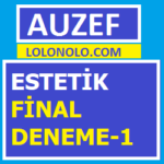 Estetik Final Deneme-1