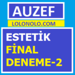 Estetik Final Deneme-2