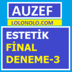 Estetik Final Deneme-3