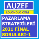 Pazarlama Stratejileri 2021 Final Soruları-1