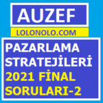 Pazarlama Stratejileri 2021 Final Soruları-2