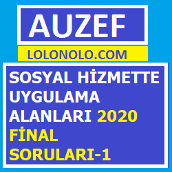 Sosyal Hizmette Uygulama Alanları 2020 Final Soruları-1 çıkmış Sorular