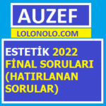 Estetik 2022 Final Soruları