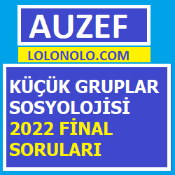 Küçük Gruplar Sosyolojisi 2022 Final Soruları