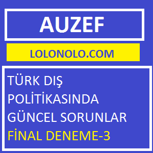 Türk Dış Politikasında Güncel Sorunlar Final Deneme-3