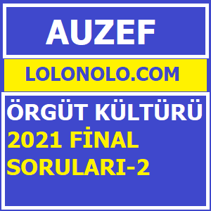 Örgüt Kültürü 2021 Final Soruları-2
