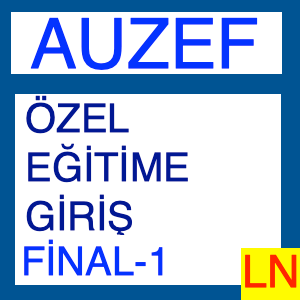 Auzef Özel Eğitime Giriş Final Deneme Sınavı 1