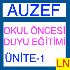 Auzef Okul Öncesi Duyu Eğitimi Ünite -1, Duyularla Dolu Bir Yaşam