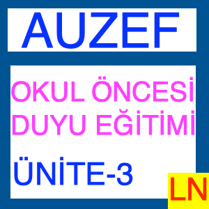 Duyu Bütünleme