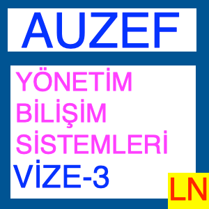 Yönetim Bilişim Sistemleri Vize Deneme Sınavı -3