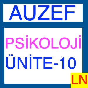 Psikoloji Ünite -10, Duyumlar ve Duygusal sistemler